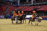 Quadrille - 00012